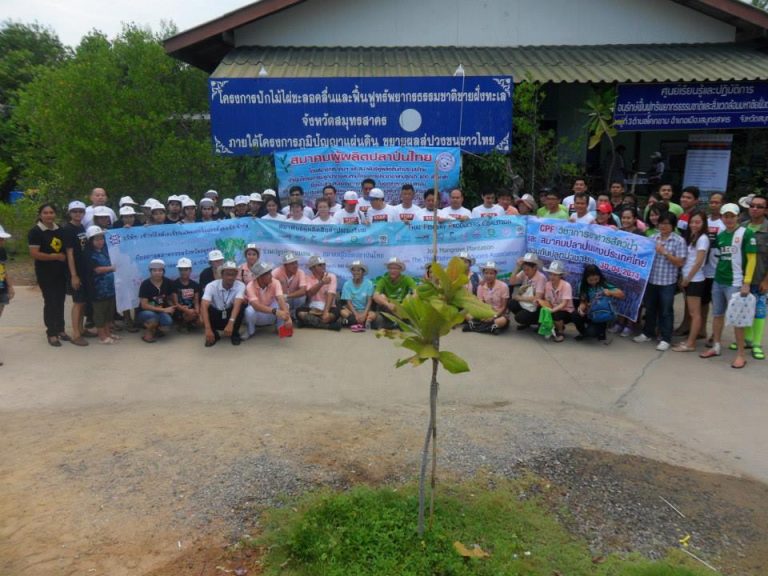 วันที่ 30 เมษายน 2557 : การดำเนินการปลูกป่าชายเลนตามโครงการประชาอาสาปลูกป่า 800 ล้านกล้า