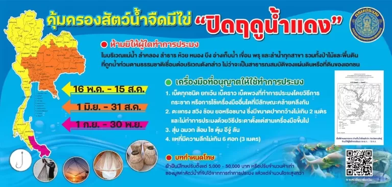กรมประมง ประกาศ ‘ฤดูน้ำแดง 2569’ คุ้มครองสัตว์น้ำจืดมีไข่ แหล่งน้ำทั่วประเทศ